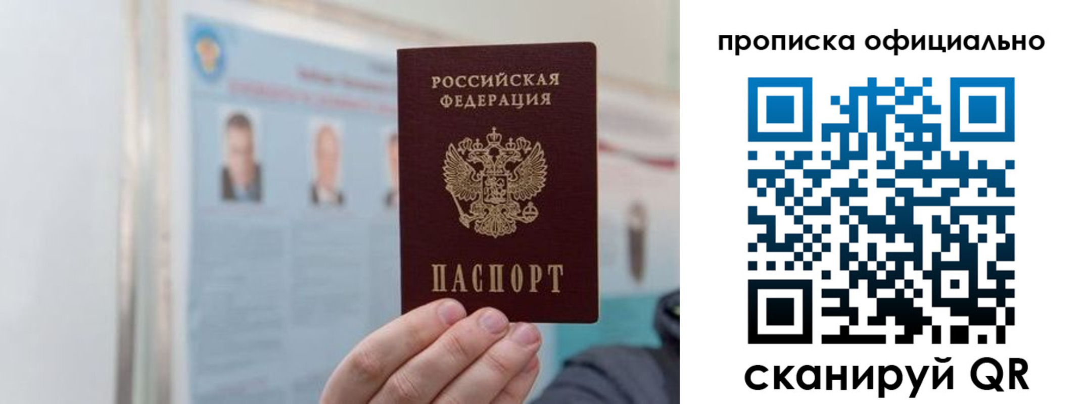 прописка гарантия в Красноярске